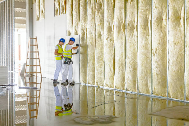 Best Insulation Contractors for Homes  in USA